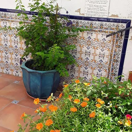 Apartment Comfortable In With Shared Pool, 35 M² *